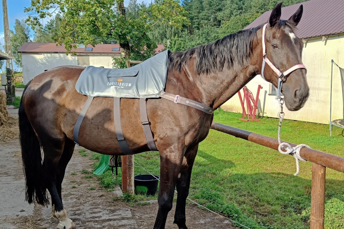 Derka Equilibrium Massage Pad na koniu